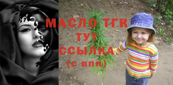 мдпв Няндома