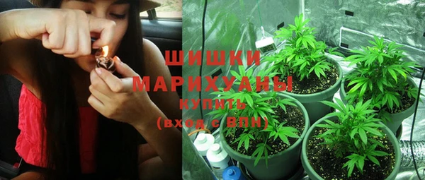 мдпв Няндома